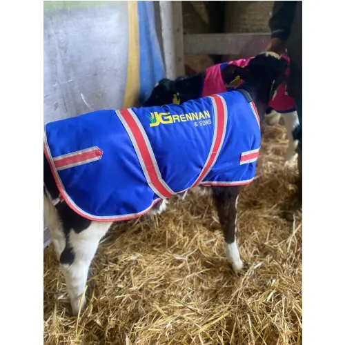 JG BLUE CALF JACKET BUNDLE OF 10