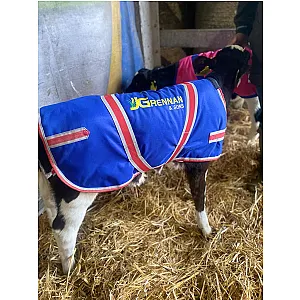 JG BLUE CALF JACKET BUNDLE OF 10